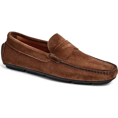 Bruno Magli Taranto Penny Loafer In Brown