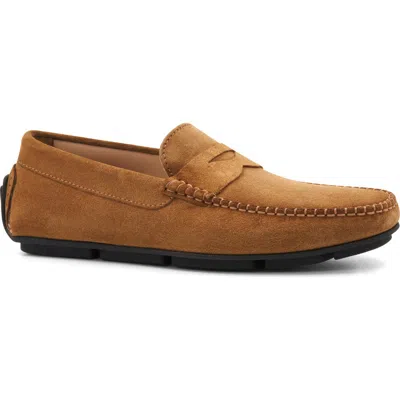 Bruno Magli Taranto Penny Loafer In Cognac Suede