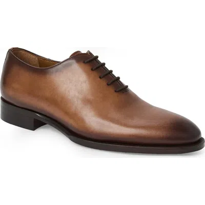 Bruno Magli Treviso Oxford In Brown