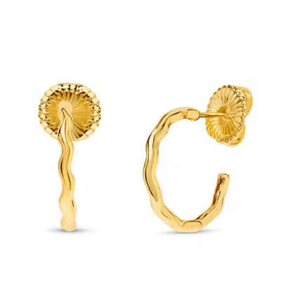 Bruno Magli Violetta Gold Hoop Earrings