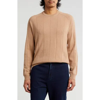 Bruno Magli Amicale Wide Rib Cashmere Sweater In Camel