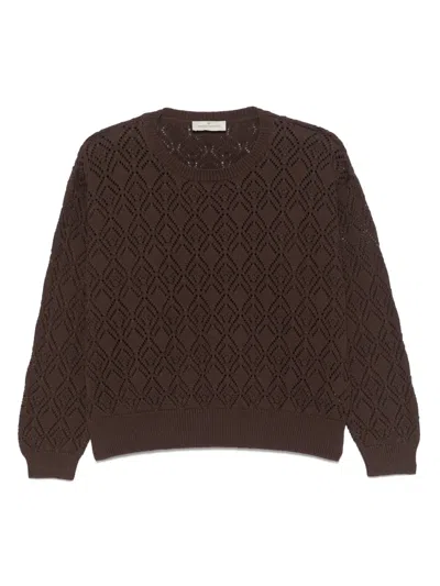 Bruno Manetti Pointelle-knit Sweater In Brown