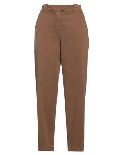 Bruno Manetti Woman Pants Brown Size 8 Cotton, Lycra, Elastane