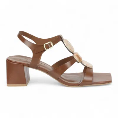 Bruno Menegatti Women's Mabel T Strap Sandal In Brown