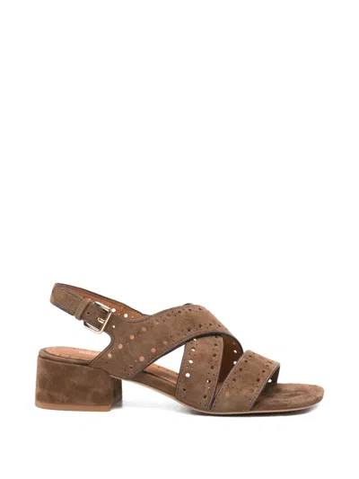 Bruno Premi Perforated Crossover Sandals In Brown