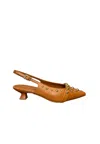 Bruno Premi Woman  _ In Brown