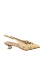 Bruno Premi Woman  _ In Gold