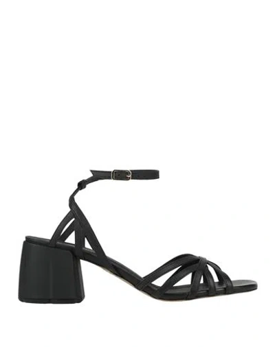 Bruno Premi Woman Sandals Black Size 6 Leather