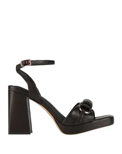 Bruno Premi Woman Sandals Black Size 8 Leather