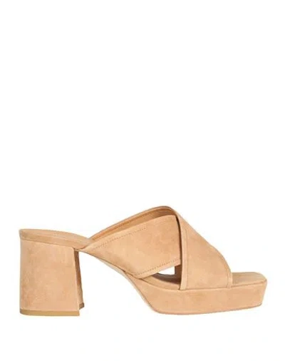 Bruno Premi Woman Sandals Camel Size 11 Goat Skin In Beige