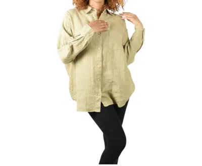 Bryn Walker Boyce Long Sleeve Shirt In Light Sage Green