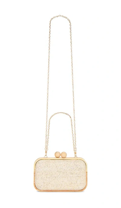 Btb Los Angeles Brooke Clutch In Multi