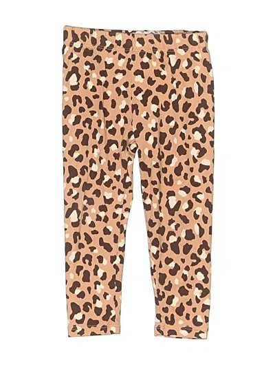 Pre-owned Btween Kids' Casual Pants In Brown