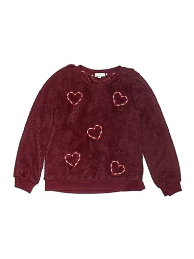 Pre-owned Btween Kids' Pullover Sweater In Burgundy