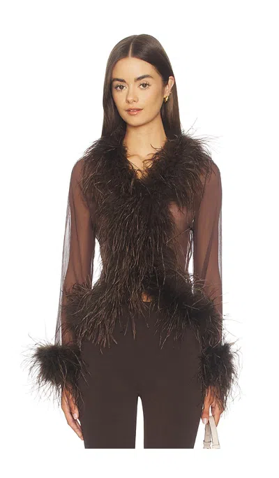Bubish Gigi Sheer Feather Blouse In Brown