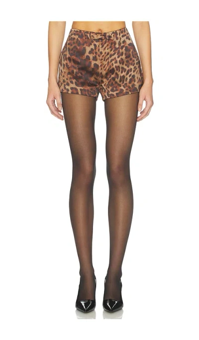 Bubish Penelope Bow Hot Short In Brown