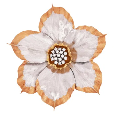 Pre-owned Buccellati , 18k Bi-color Gold Diamond Brooch In Multiple