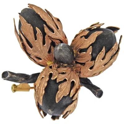 Pre-owned Buccellati Rose Blackened White Gold Acorn Brooch