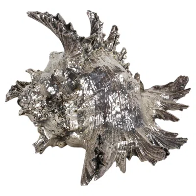 Pre-owned Buccellati Scully & Scully New York - Sterling Clad Spiky Conch Shell - Natural Sculpture In Silver