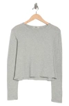 Buck Mason Boxy Long Sleeve Crop T-shirt In Gray
