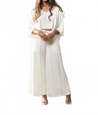 Bucketlist Knit Collared V-neck Cropped Top In White