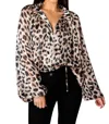 Buddylove Bridgerton Long Sleeve Blouse In Oreo In Brown