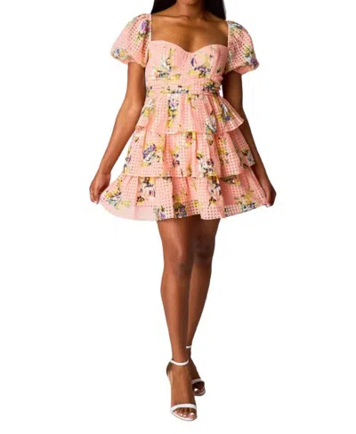 Buddylove Conner Babydoll Dress In Irish Rose