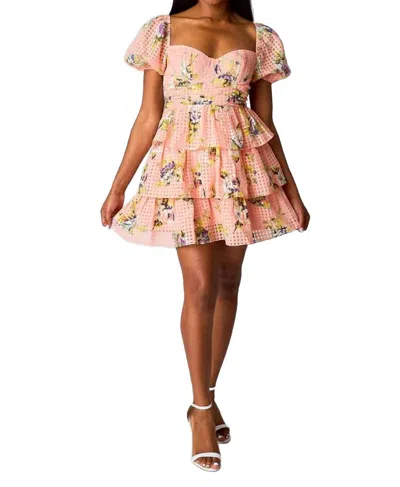 Buddylove Conner Irish Rose Dress In Pink Multi