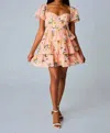 Buddylove Conner Irish Rose Dress In Pink Multi In Pink