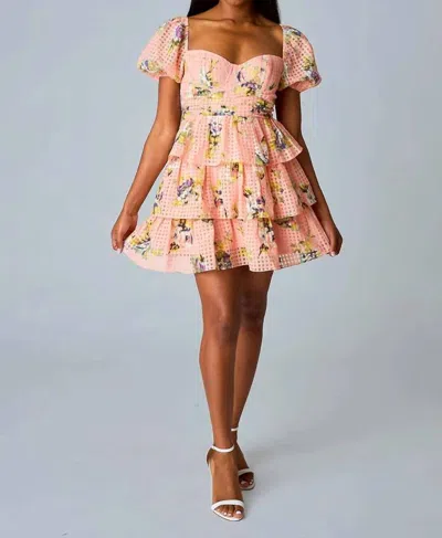 Buddylove Conner Irish Rose Dress In Pink Multi