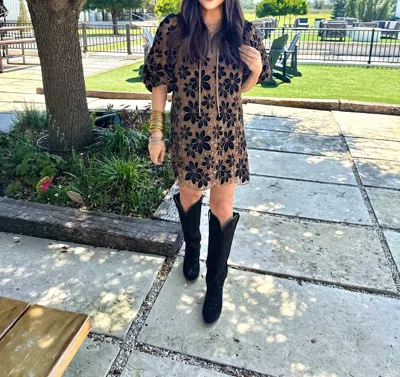 Buddylove Deb Velvet Dress In Black In Brown