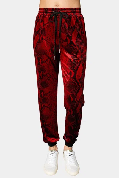 Buddylove Meadow Velour Joggers In Lava Rock In Red