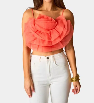 Buddylove Petal Flower Applique Tank Top In Tangerine In Pink