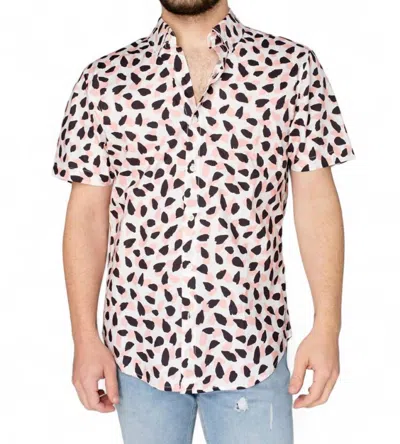 Buddylove Robert Button Down Dress Shirt In Flamingo In Beige