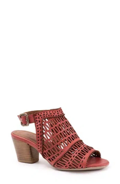 Bueno Candice Sandal In Brown