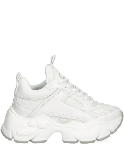 Buffalo Binary Bloom Trainers