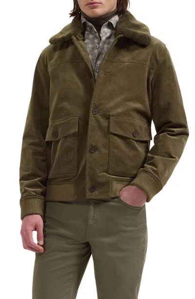 Bugatchi Corduroy Blouson Jacket With Faux Shearling Collar In Moss
