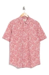 Bugatchi Orson Short Sleeve Stretch Cotton Button-up Shirt In Pink