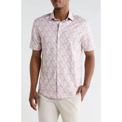 Bugatchi Short Sleeve Stretch Cotton Button-up Shirt In Multi