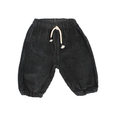 Buho Kids' Boy's Antracite Corduroy Pants In Gray In Black