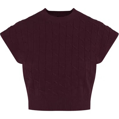 Buhu Cable Knit Soft Stretch Vest In Burgundy