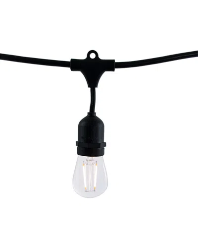 Bulbrite 14ft String Light Kit With Clear Shatter-resistant Vintage Style S14 Led Light Bulbs In Black