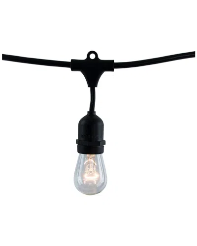 Bulbrite 15-light Clear Bulb Outdoor String Lights In Black
