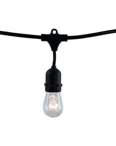 Bulbrite 48ft Black String Light Kit With Clear S14 Led Light Bulbs, 1pk