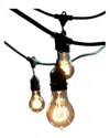 Bulbrite 48ft String Light Kit With Nostalgic Loop Filament A19 Incandescent Light Bulbs
