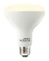 Bulbrite Ceiling Solana Wifi Connected Led Smart Light Bulb