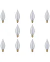 Bulbrite Set Of 10 Incandescent Satin Bulbs