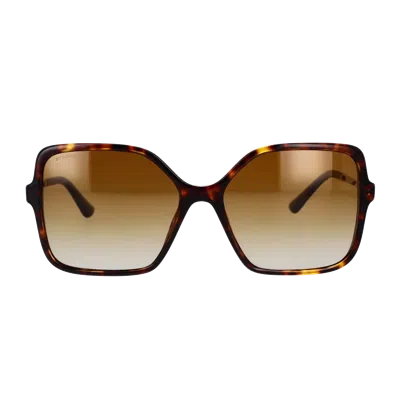 Bulgari Bv8250 Sunglasses In Brown