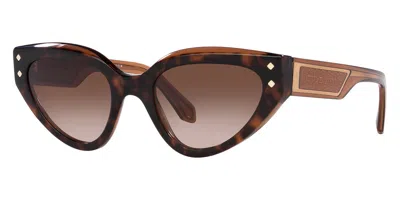 Bulgari Women's 53 Mm Havana On Transparent Sunglasses In Multi
