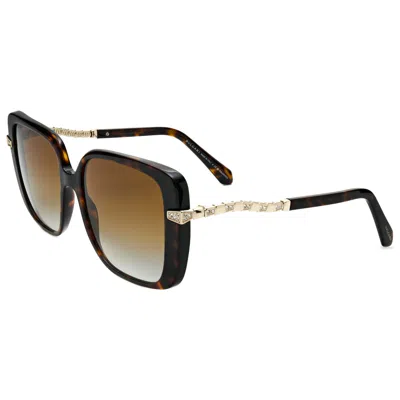 Bulgari Women's Sunglasses In Brown
